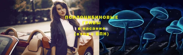 PSILOCYBIN Балабаново